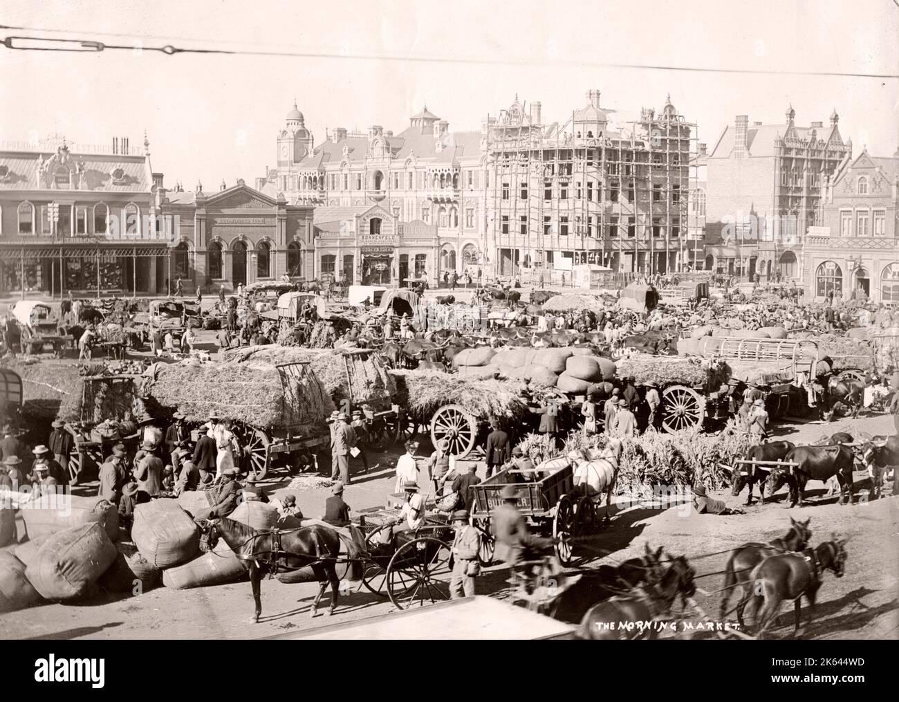 Morning market, Johannesburg, South Africa, c.1900 Stock Photo