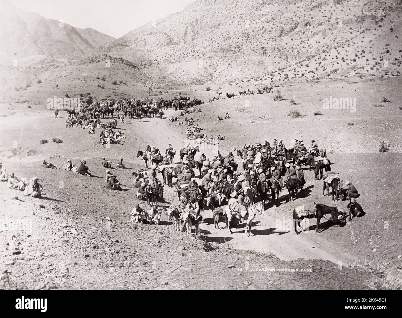 19th century vintage photograph: a caravan ogf horses and camels heading into the Khyber Pass, North West Frontier, British India, now Pakistan. Stock Photo
