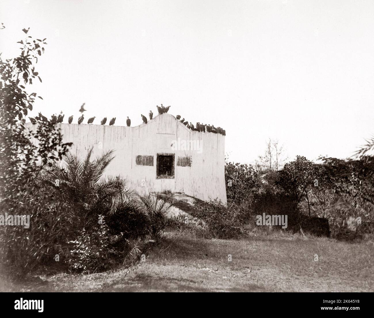 c.1880s India - Tower of Silence for air burial or excarnation near Bombay Mumbai Stock Photo