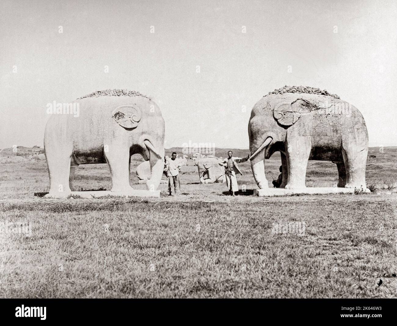 Stone Elephants, Ming tombs, Nanjing, China, c.1890 Stock Photo Alamy