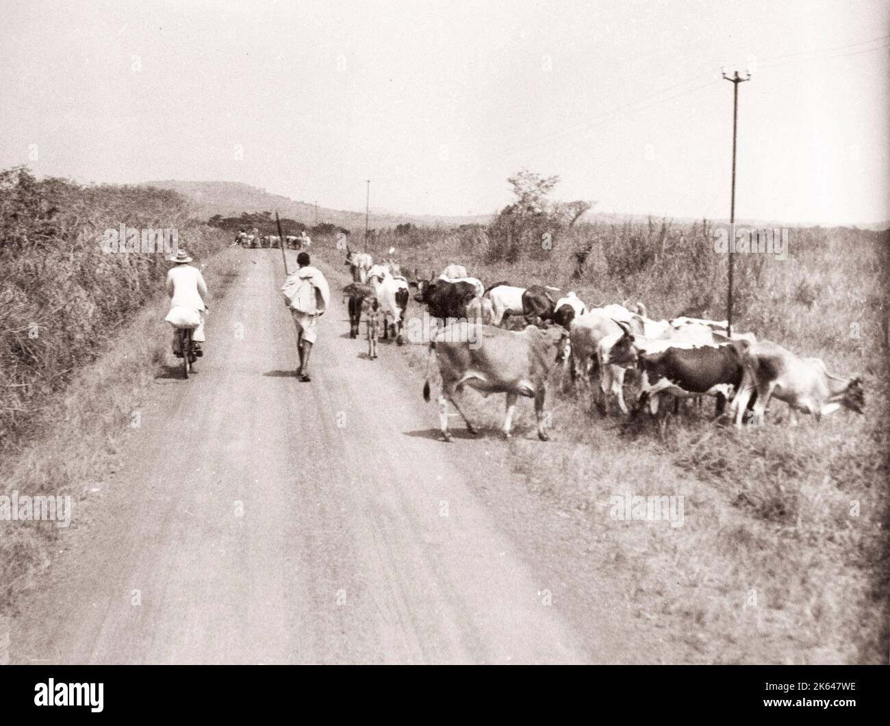 1940s East Africa - Uganda - rural transport and scenery, bicycle Photograph by a British army recruitment officer stationed in East Africa and the Middle East during World War II Stock Photo