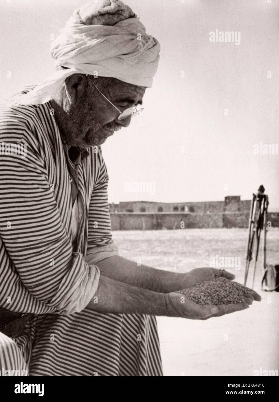 1943 - Syria - Homs - a man grading wheat grain Photograph by a British army recruitment officer stationed in East Africa and the Middle East during World War II Stock Photo