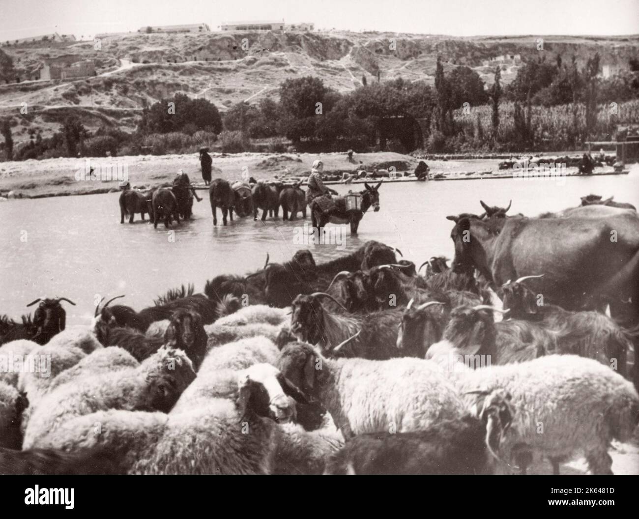 1943 Syria Hama On The River Orontes Photograph By A British Army