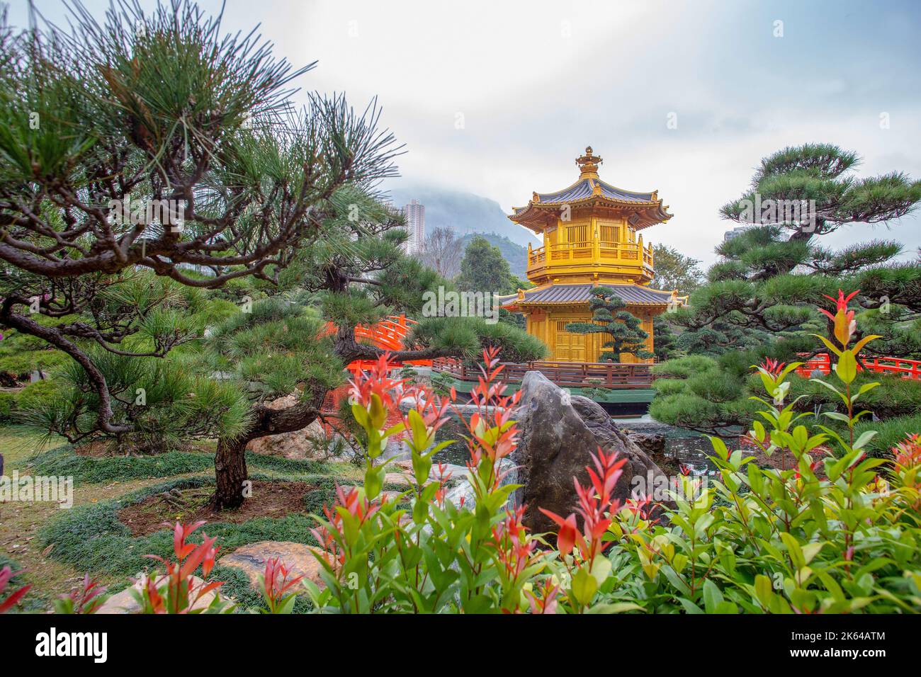 Nan lian hong kong bonsai hires stock photography and images Alamy