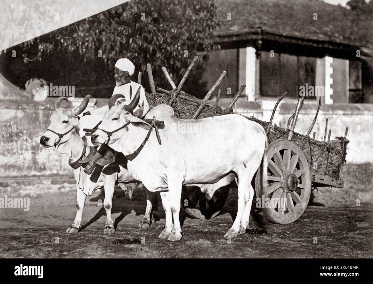 Bullock cart and handler, India, c.1890 Stock Photo