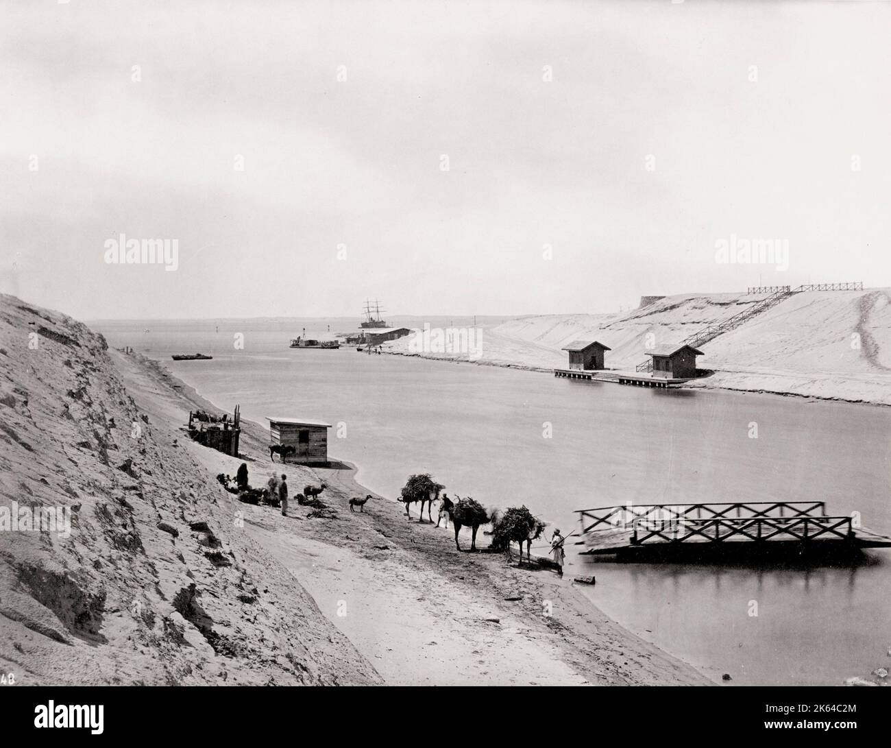 Vintage 19th century photograph: camels along the side of the Suez Canal, Egypt. Stock Photo