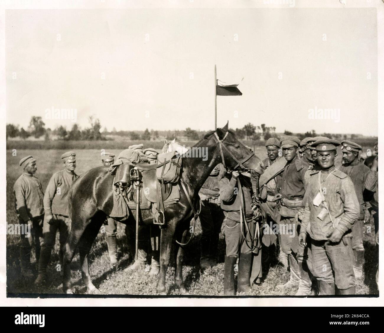 The captured horse of a German cavalry officer, World War I Stock Photo