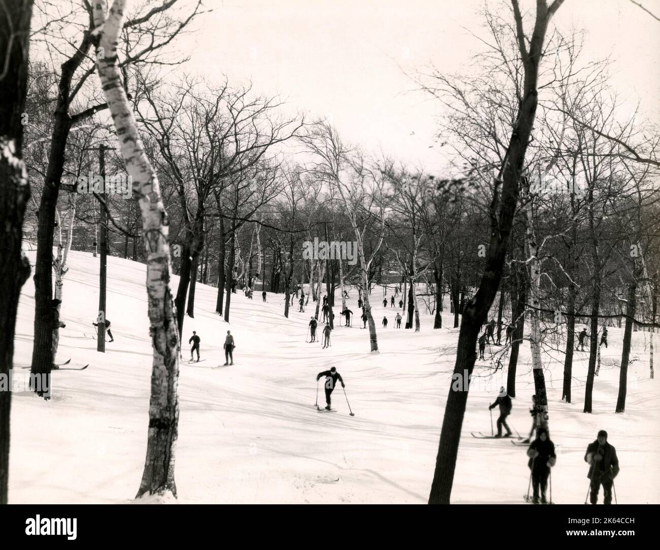 Early 20th century vintage press photograph - skiers skiing among trees, Mont-Royal, Montreal, Canada Stock Photo