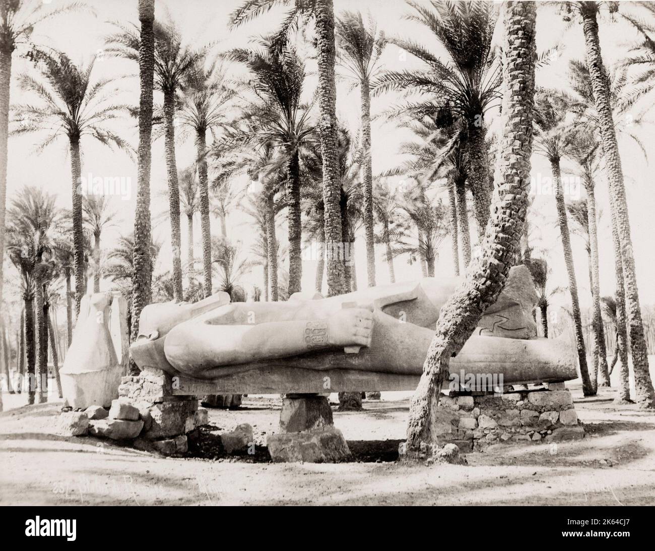 Vintage 19th century photograph - fallen statue of Ramses II at Memphis, Egypt. Stock Photo