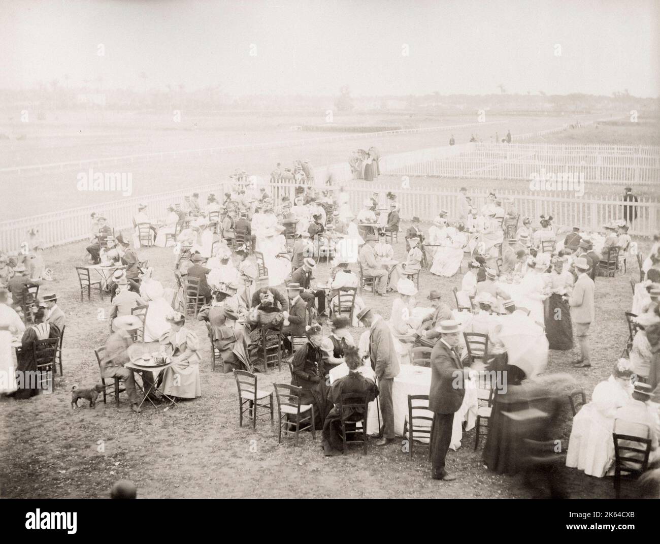 19th century vintage photograph: crowd at Cairo races, racecourse, Egypt, c.1890. Stock Photo