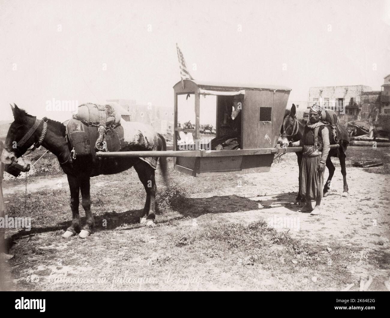 Vintage 19th century photograph: mule drawn palanquin, sedan chair, carrying chair, Egypt. Stock Photo