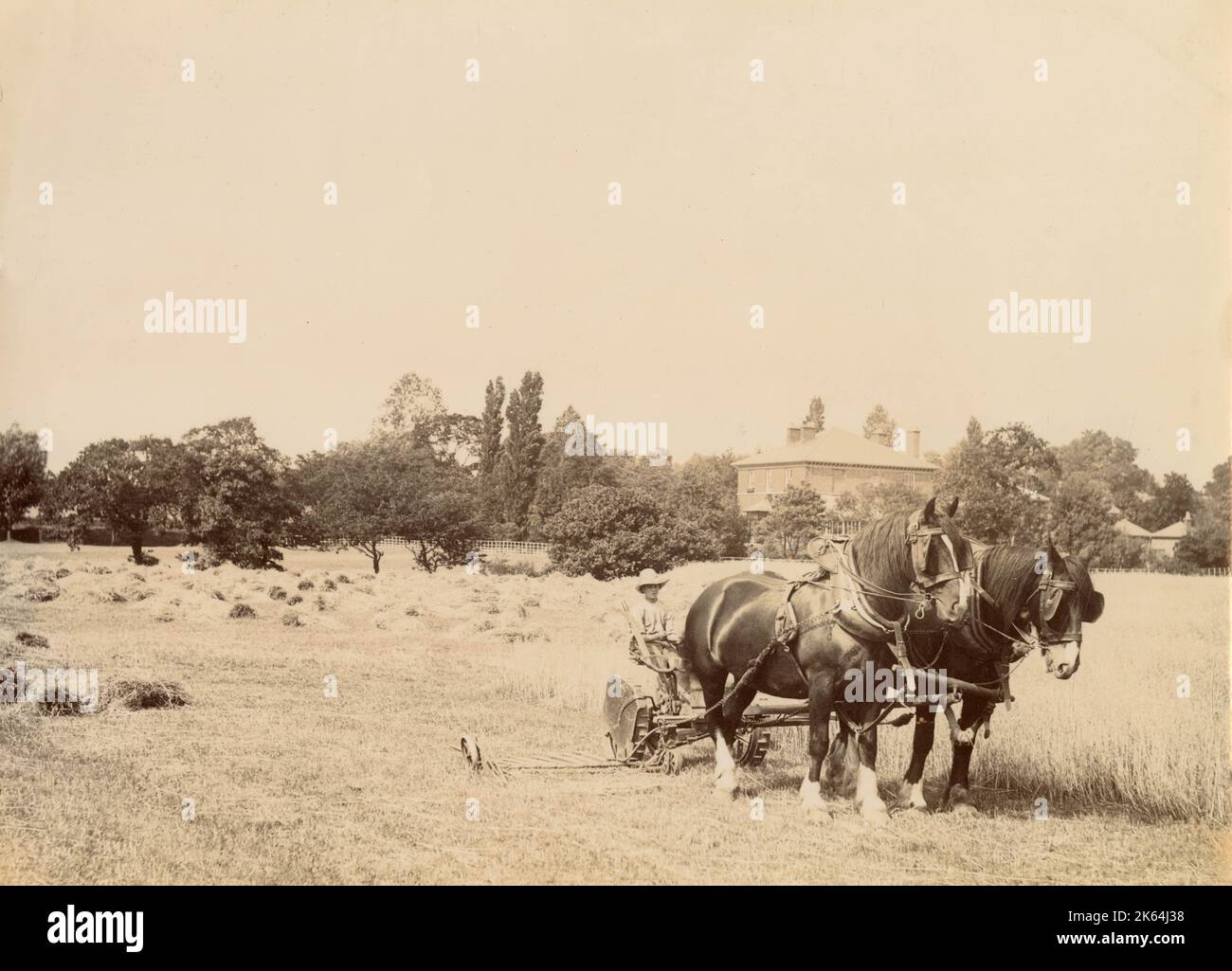 Harvesting scene on a Cheshire farm Stock Photo