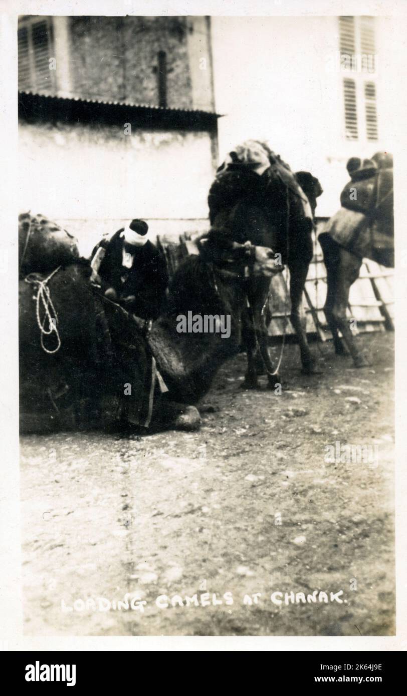 Chanakkale (Chanak, formerly Dardanellia ) on the Turkish Dardanelles coast (Gallipoli Peninsula) - Loading a Camel Train.     Date: 1923 Stock Photo