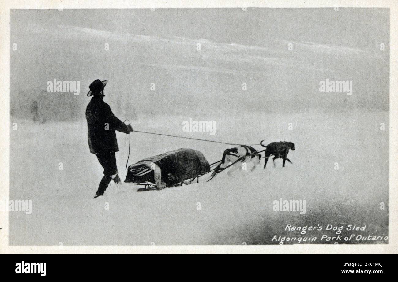 Ranger's Dog Sled - Algonquin Park of Ontario, Canada.     Date: circa 1910s Stock Photo