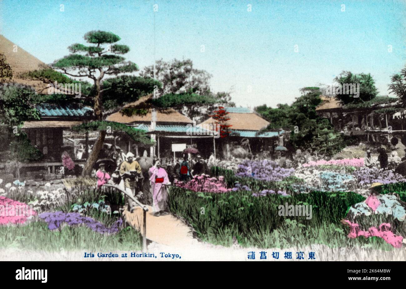 Popular since the Edo period (1603–1867), Horikiri Shobuen is a Japanese-style garden in Tokyo, Japan, famous for its Irises. Stock Photo