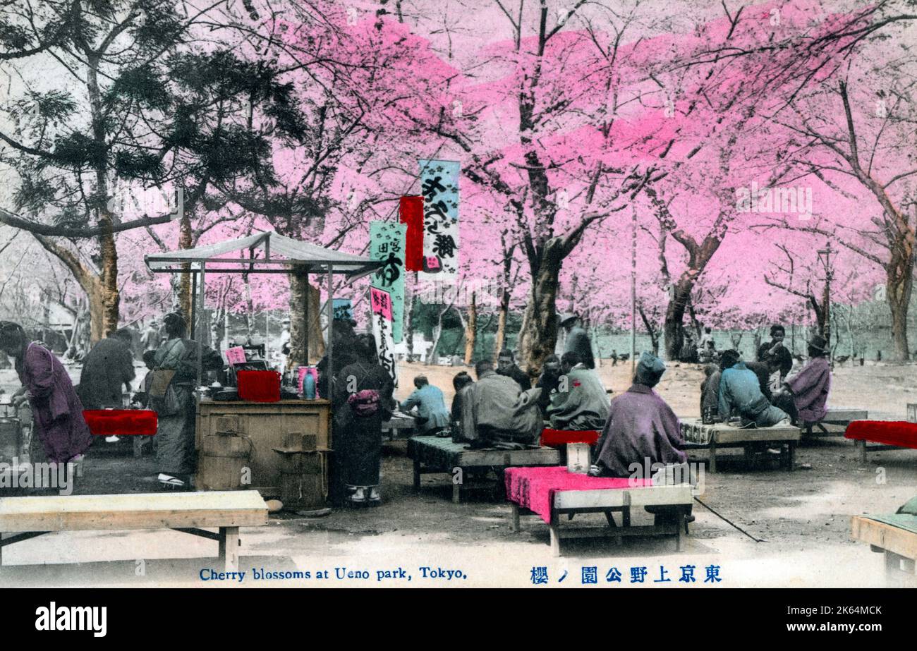 Cherry Blossoms at Ueno Park, Taito City, Tokyo     Date: circa 1910s Stock Photo