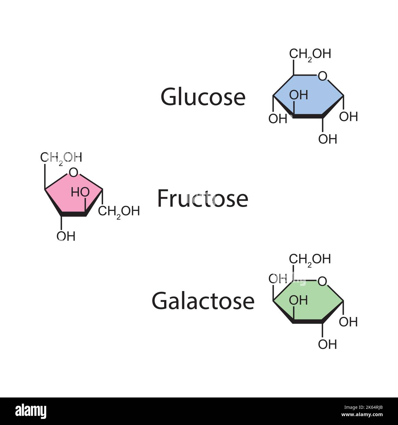 Chemical Illustration of Monosaccharides. Glucose, Fructose And Galactose.  Colorful Symbols. Vector Illustration Stock Vector Image & Art - Alamy
