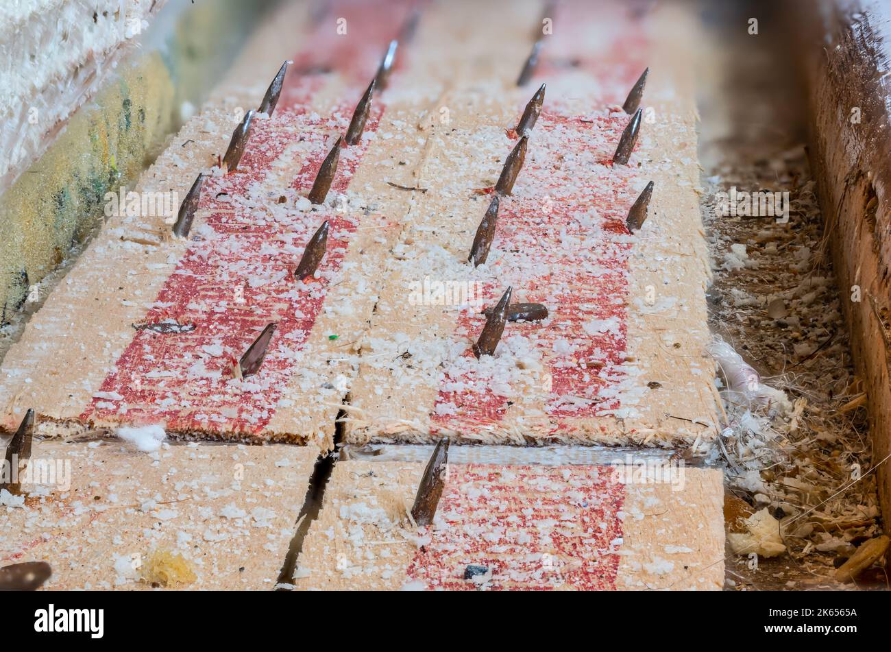 Carpet tack strip exposed during a flooring home improvement project