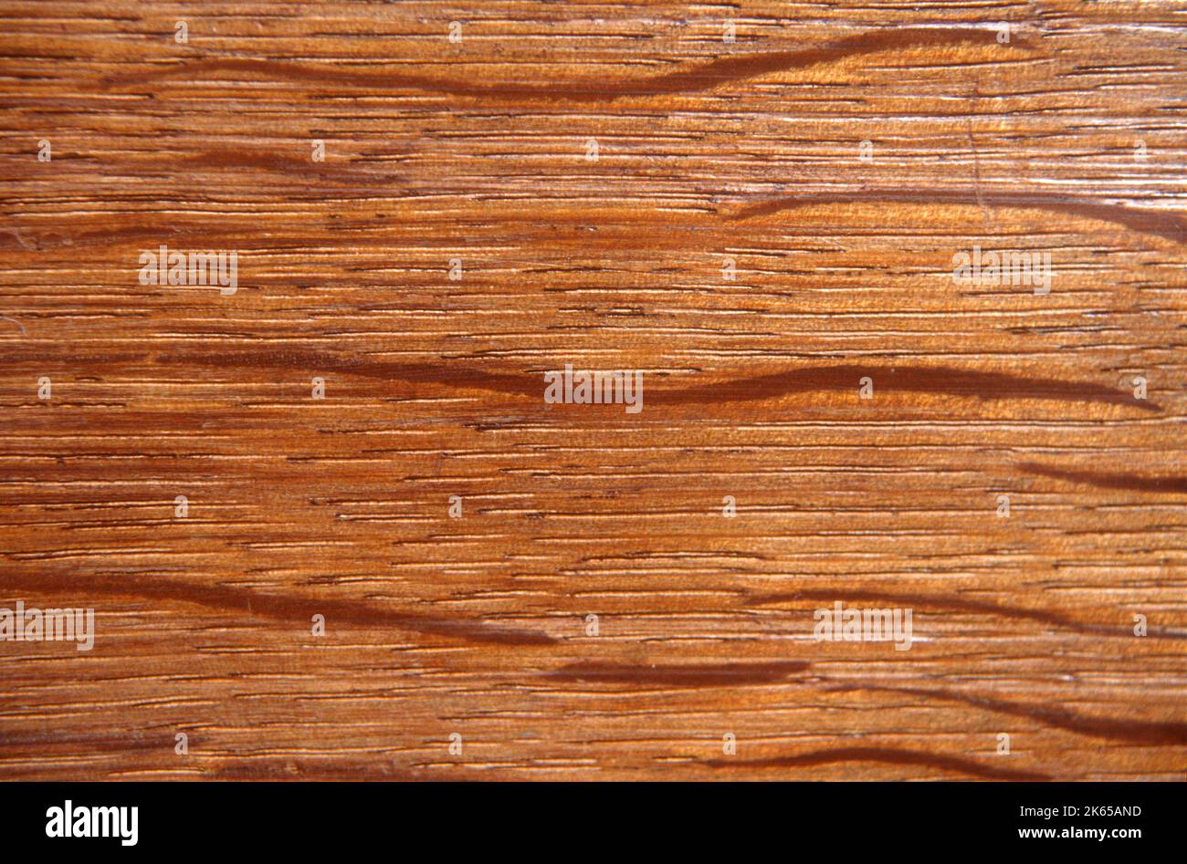 Mahogany wood grain reddish-brown timber of three tropical hardwood species of the genus Swietenia Stock Photo