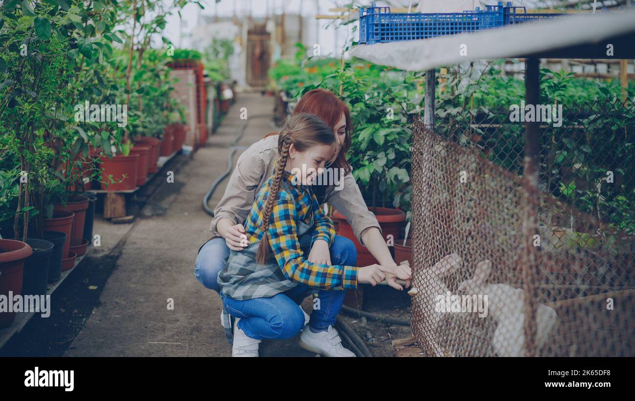 People With Rabbit Cheerful young woman and her curious little daughter in aprons are ...