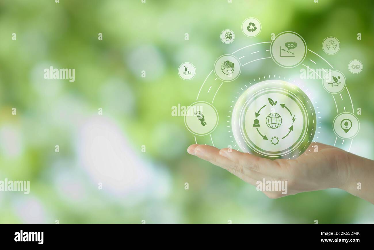 Circular economy concept, recycle, environment, reuse, manufacturing, waste, consumer, resources. LCA Life cycle assessment. Sustainable development. Stock Photo