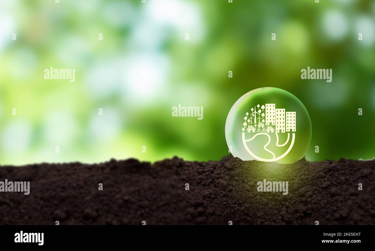 Eco friendly, green company culture concept. Carbon neutral and net zero target. Sustainable