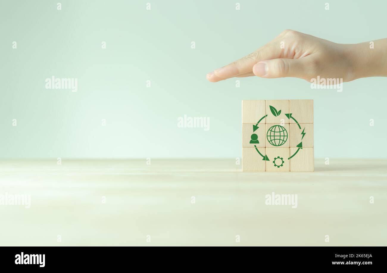 sharing economy cycle