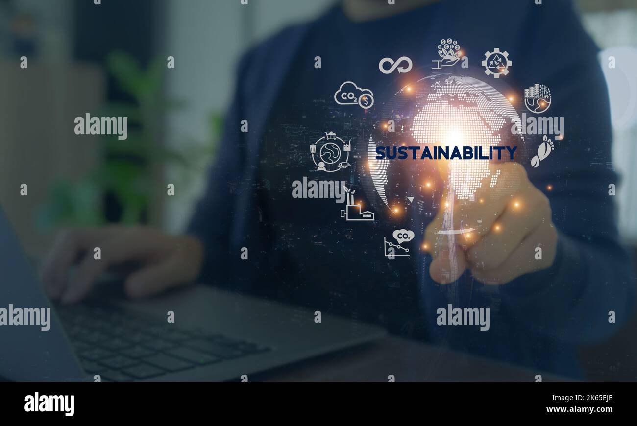 Growing sustainability. LCALife cycle assessment concept. Assessing