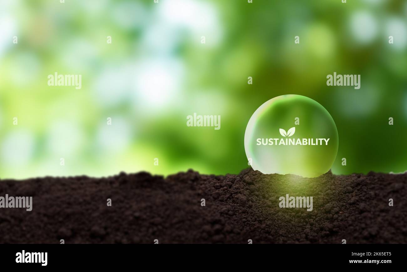 Sustainable business strategy concepy. Growing sustainability by doing