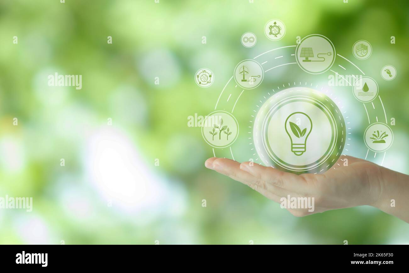 Renewable energy, sustainability, ecology concept. Carbon reduction strategy and action to limit climate change and global warming. Environmental prot Stock Photo