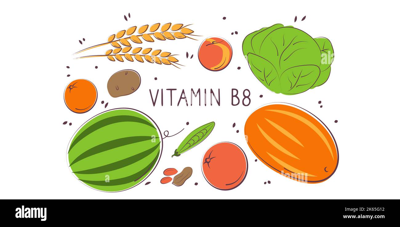 Vitamin B8 Inositol. Groups of healthy products containing vitamins