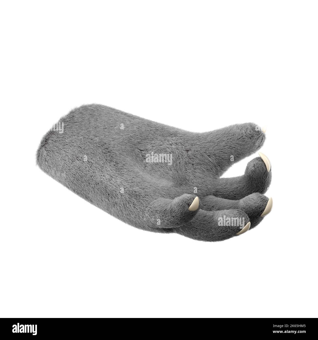 3d furry wolf hands in plastic cartoon style. Holding fingers gesture