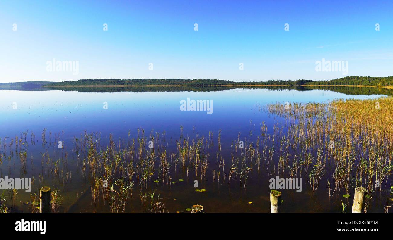 Priesterbäker See in the Müritz National Park. Mecklenburg Lake Plateau. Mecklenburg Lakeland. Stock Photo