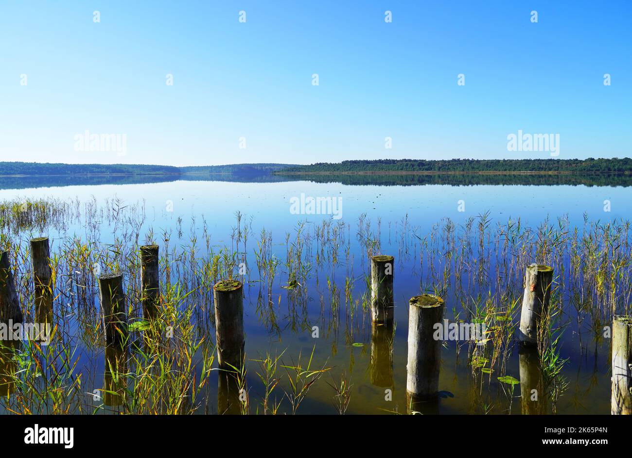 Priesterbäker See in the Müritz National Park. Mecklenburg Lake Plateau. Mecklenburg Lakeland. Stock Photo