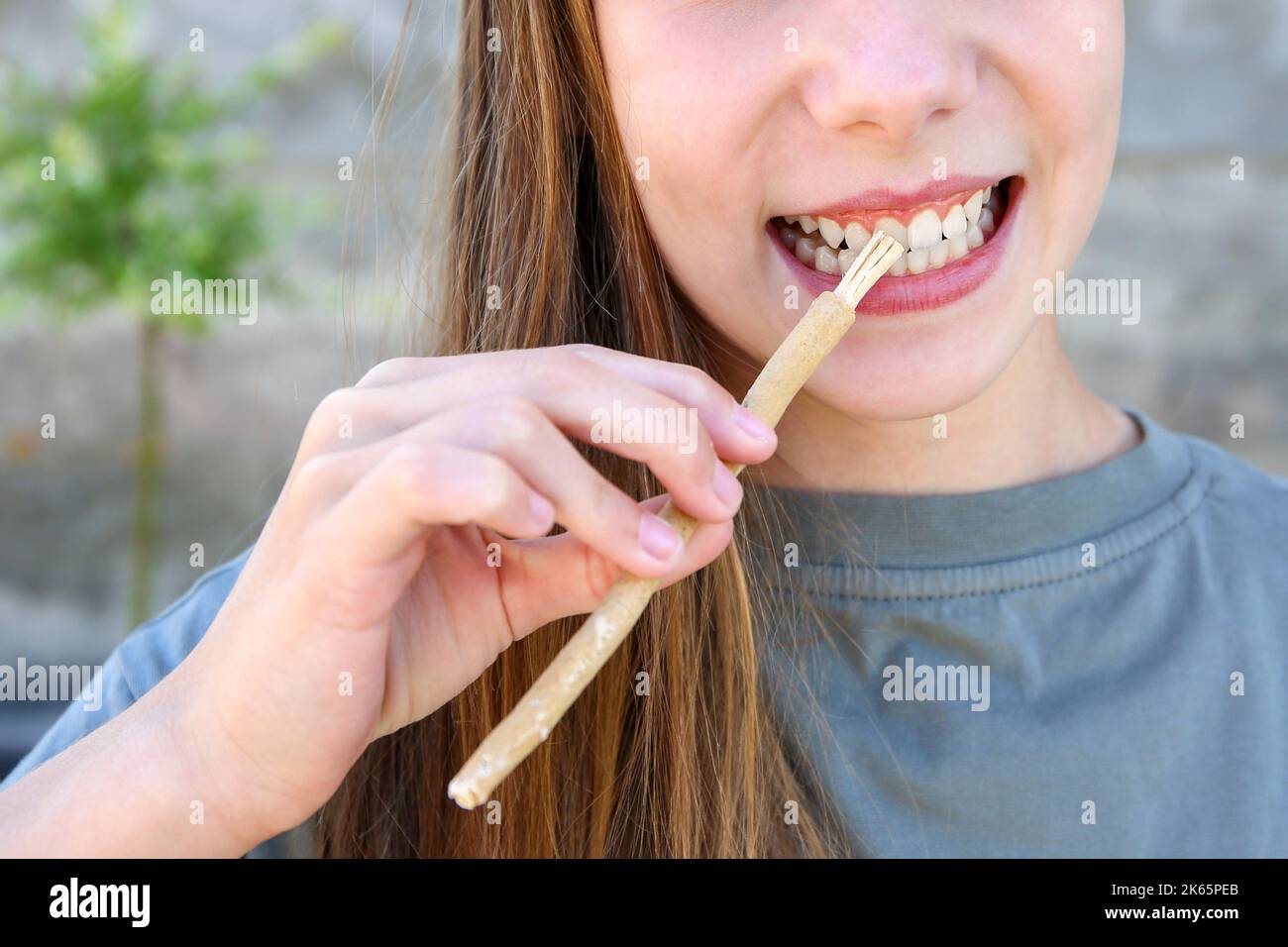 A girl brushes her teeth siwak stick. Miswak sticks Stock Photo Alamy