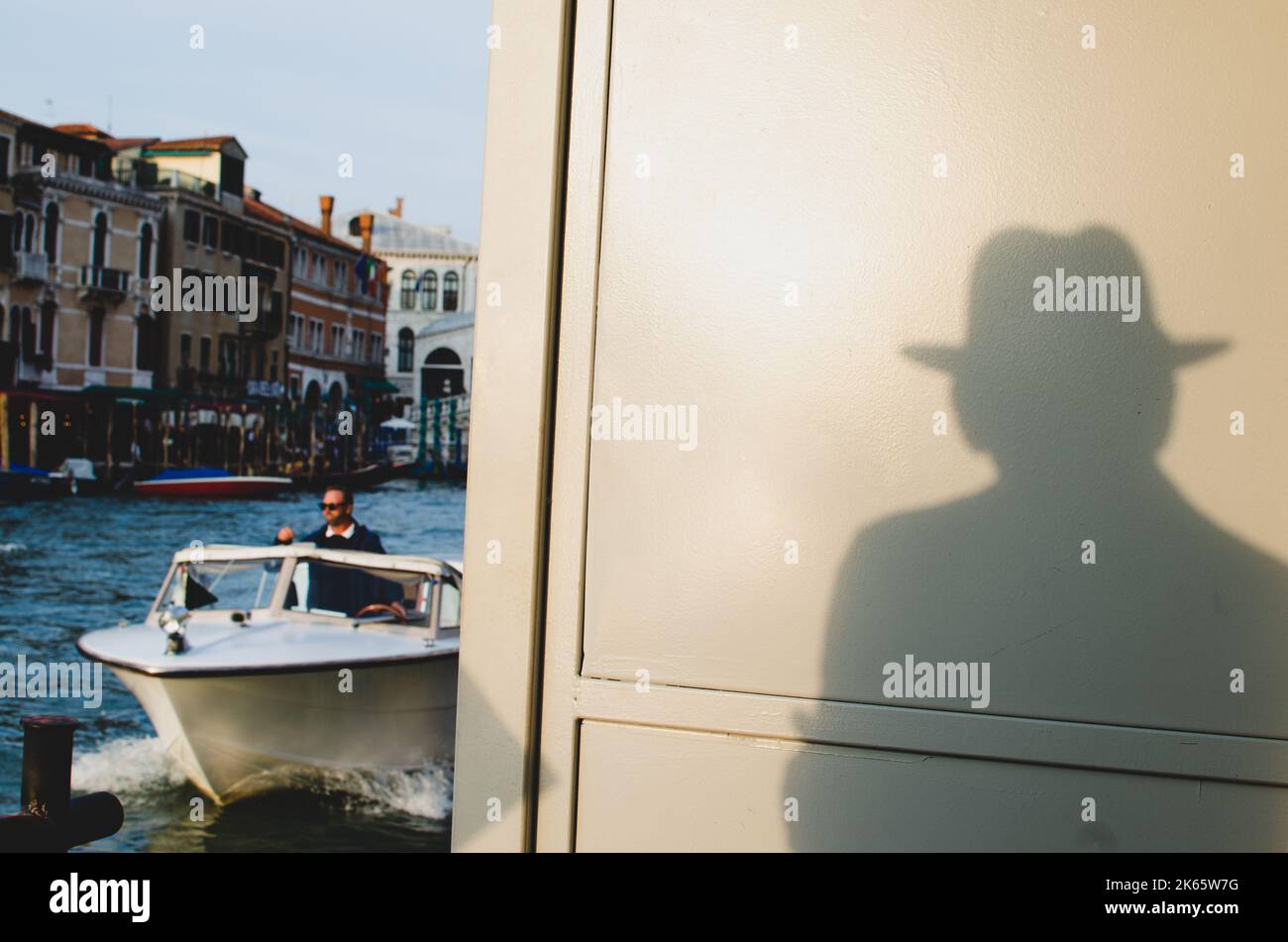 OLD VS YOUNG DOG intelligence overview