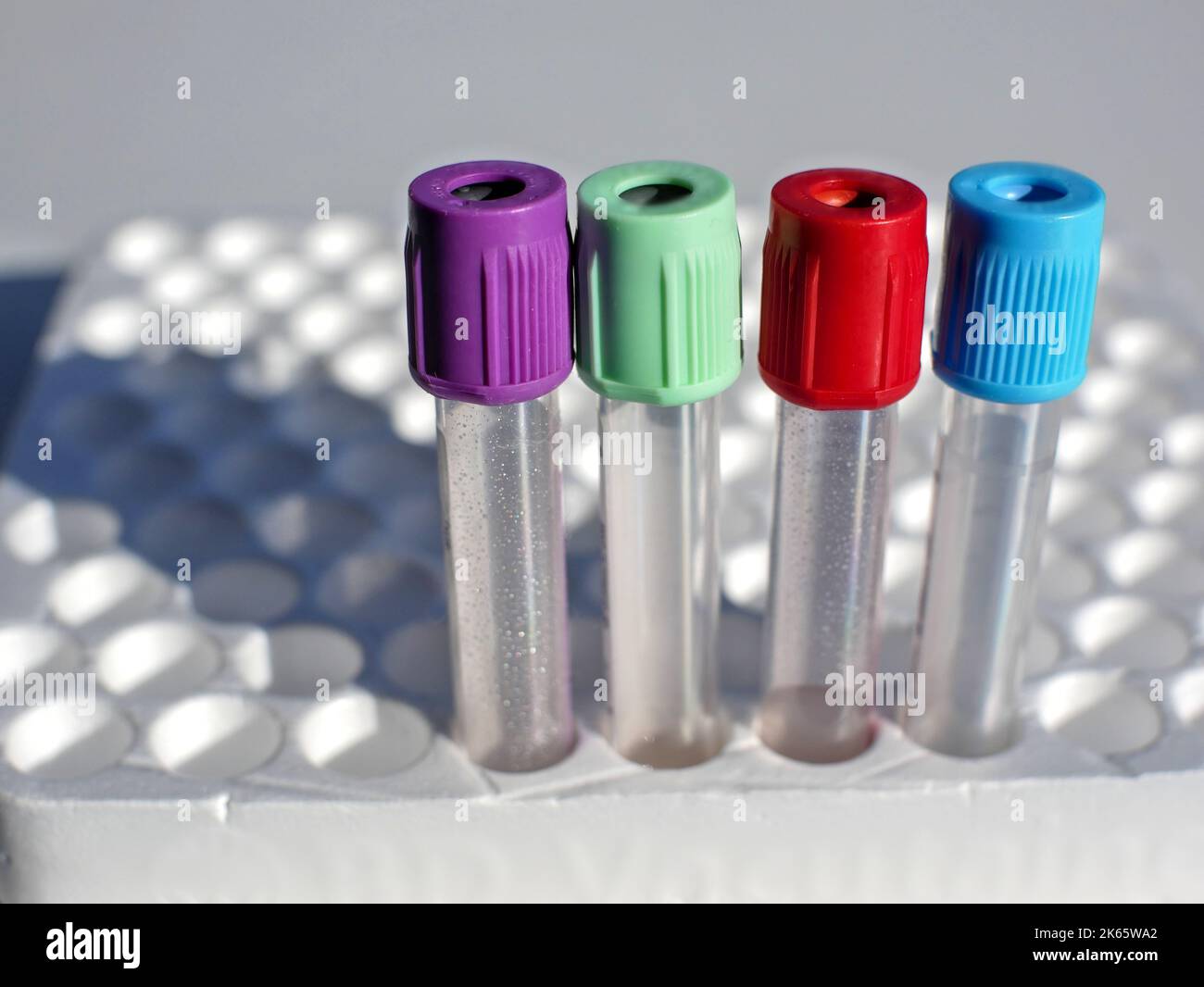 Blood collection tubes with colored stoppers, on a polystyrene support Stock Photo