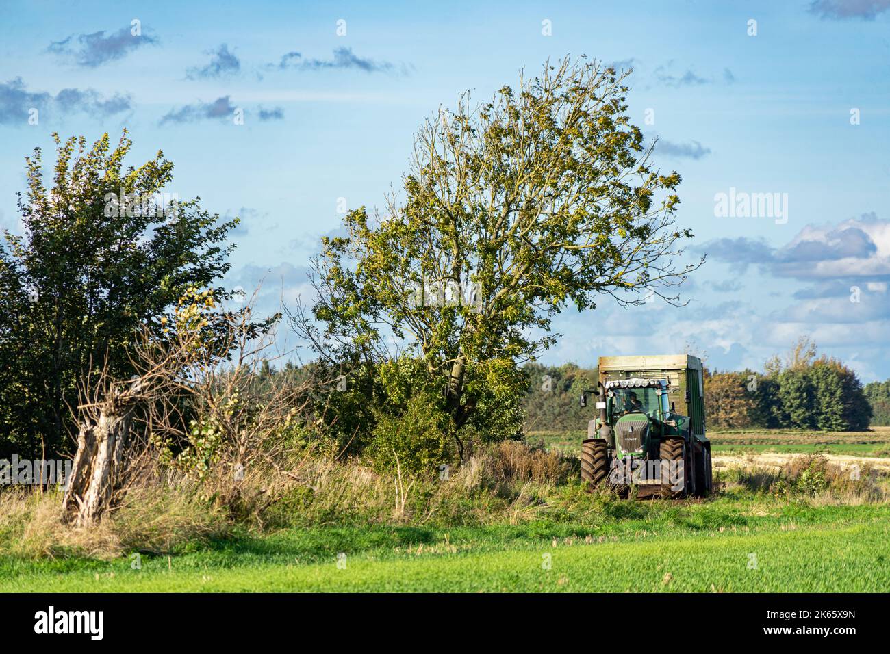 Tractor driving into the shadow of a windbent tree in an idyllic rural surrounding Stock Photo