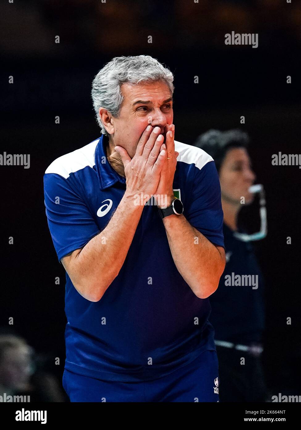 apeldoorn-netherlands-october-11-jose-roberto-guimaraes-of-brazil