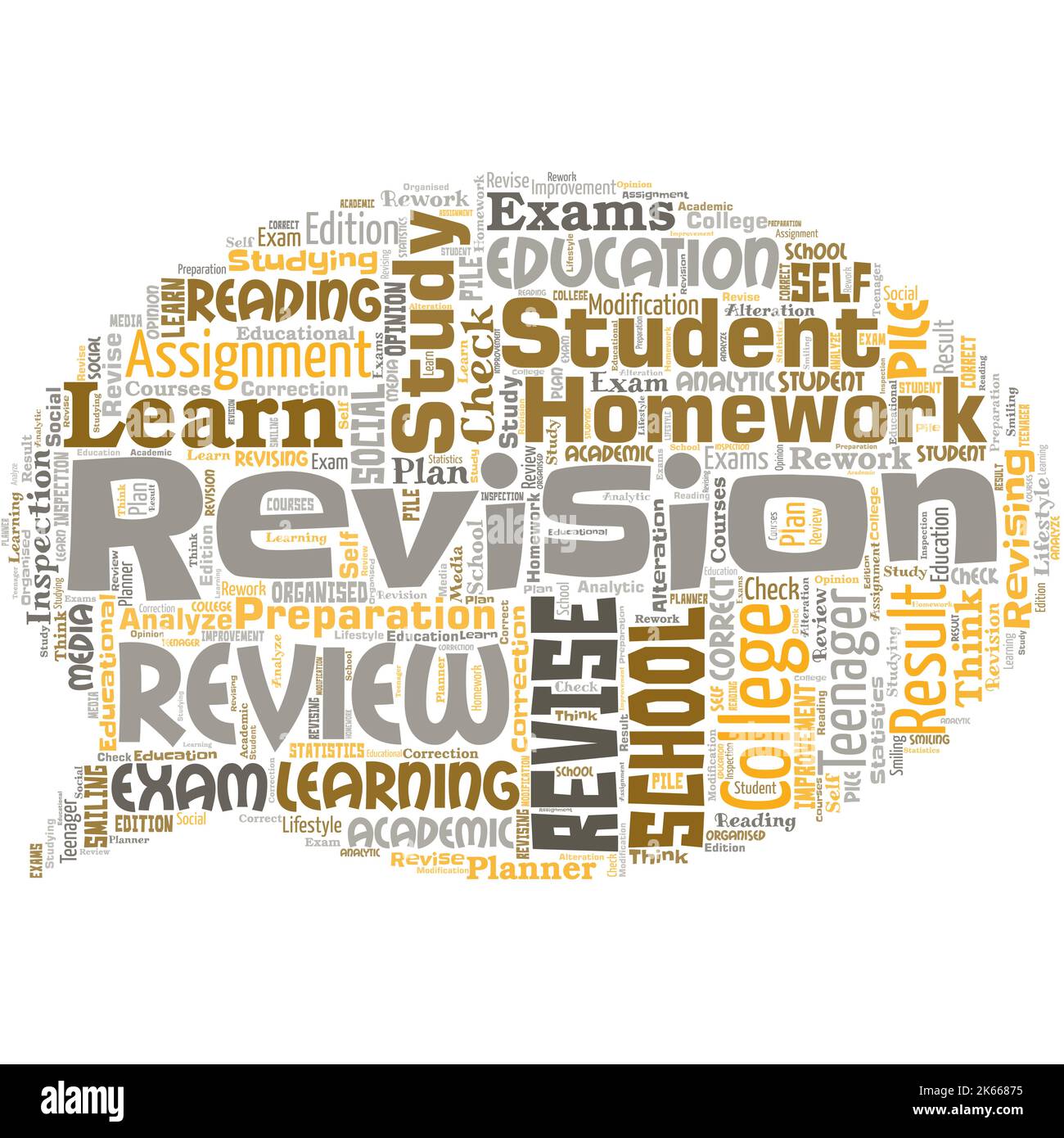 Big word cloud in the shape of speech bubble with word revision. Action