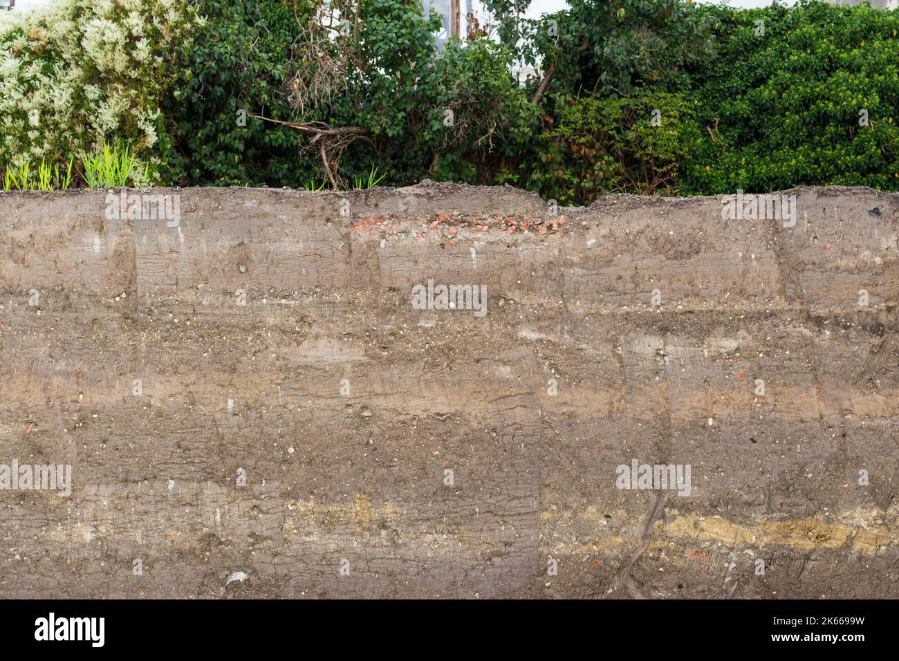 Soil profile showing thick layer of soil with grass and shrubs on top revealed on construction