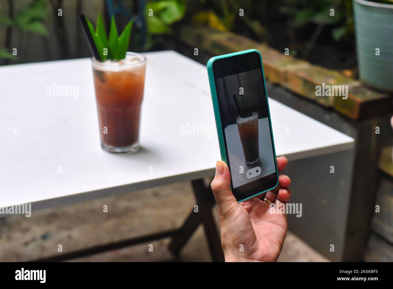 Hand holding phone for taking picture of plum tea for advertisement and ...