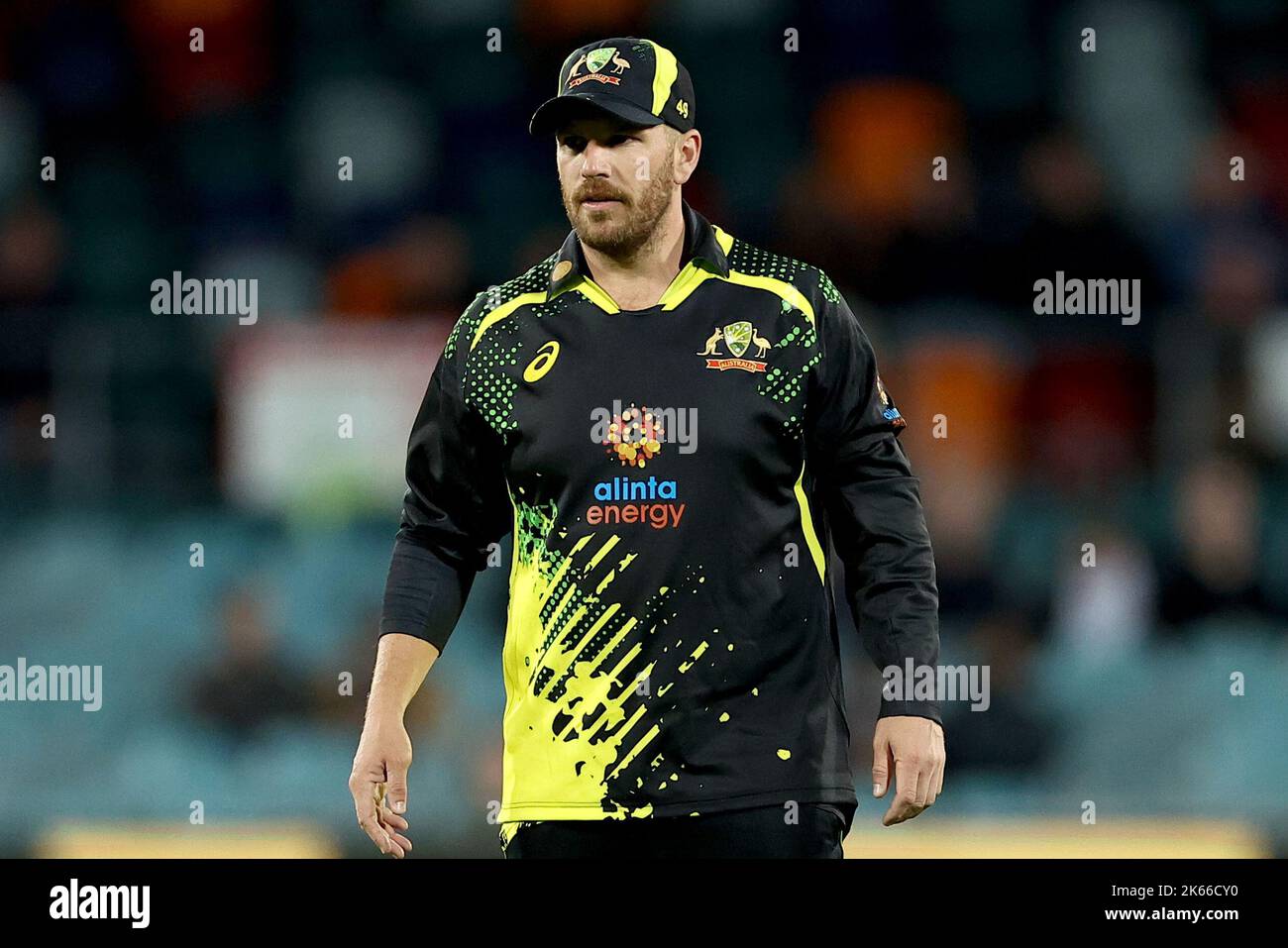 Canberra, Australia. 13th Aug, 2022. Aaron Finch of Australia looks on during the Dettol T20I Series 2 of 3 match Australia vs England at Manuka Oval, Canberra, Australia, 12th October 2022 (Photo by Patrick Hoelscher/News Images) in Canberra, Australia on 8/13/2022. (Photo by Patrick Hoelscher/News Images/Sipa USA) Credit: Sipa USA/Alamy Live News Stock Photo