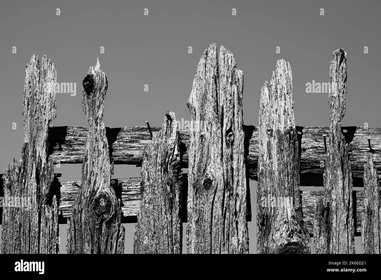 Weathered and worn gray wooden fence in a black and white monochrome ...