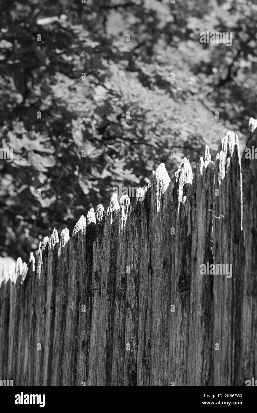 Solid wood fence Black and White Stock Photos & Images - Alamy