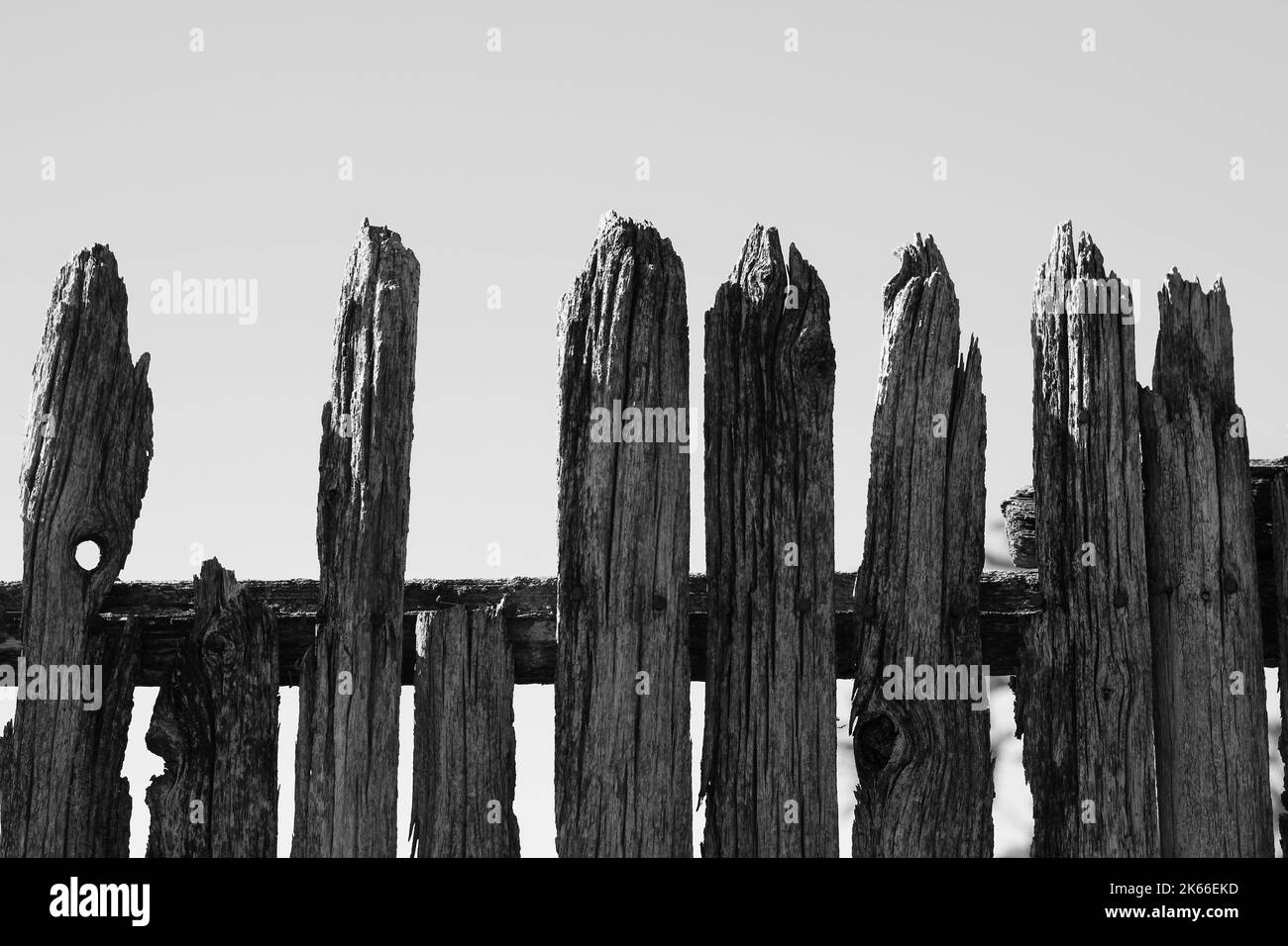Solid wood fence Black and White Stock Photos & Images - Alamy