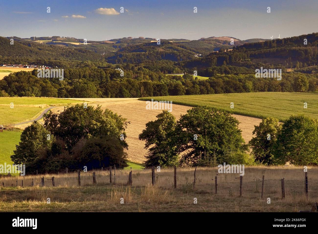field landscape near Eisborn, Germany, North Rhine-Westphalia, Sauerland, Balve Stock Photo