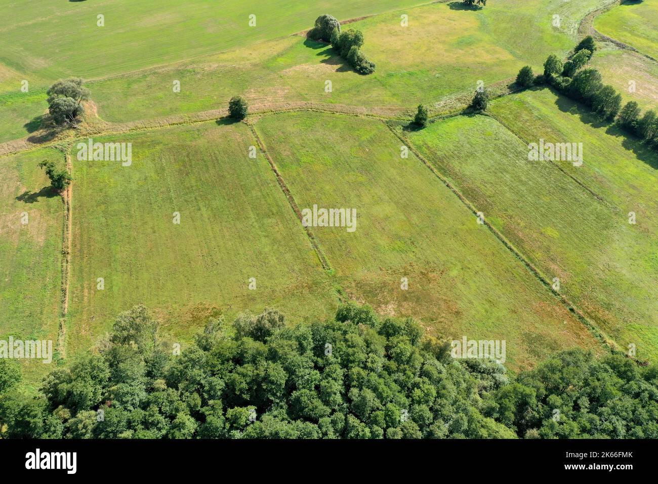 Meadows at the Koberg Moor, aerial view, Germany, Schleswig-Holstein Stock Photo