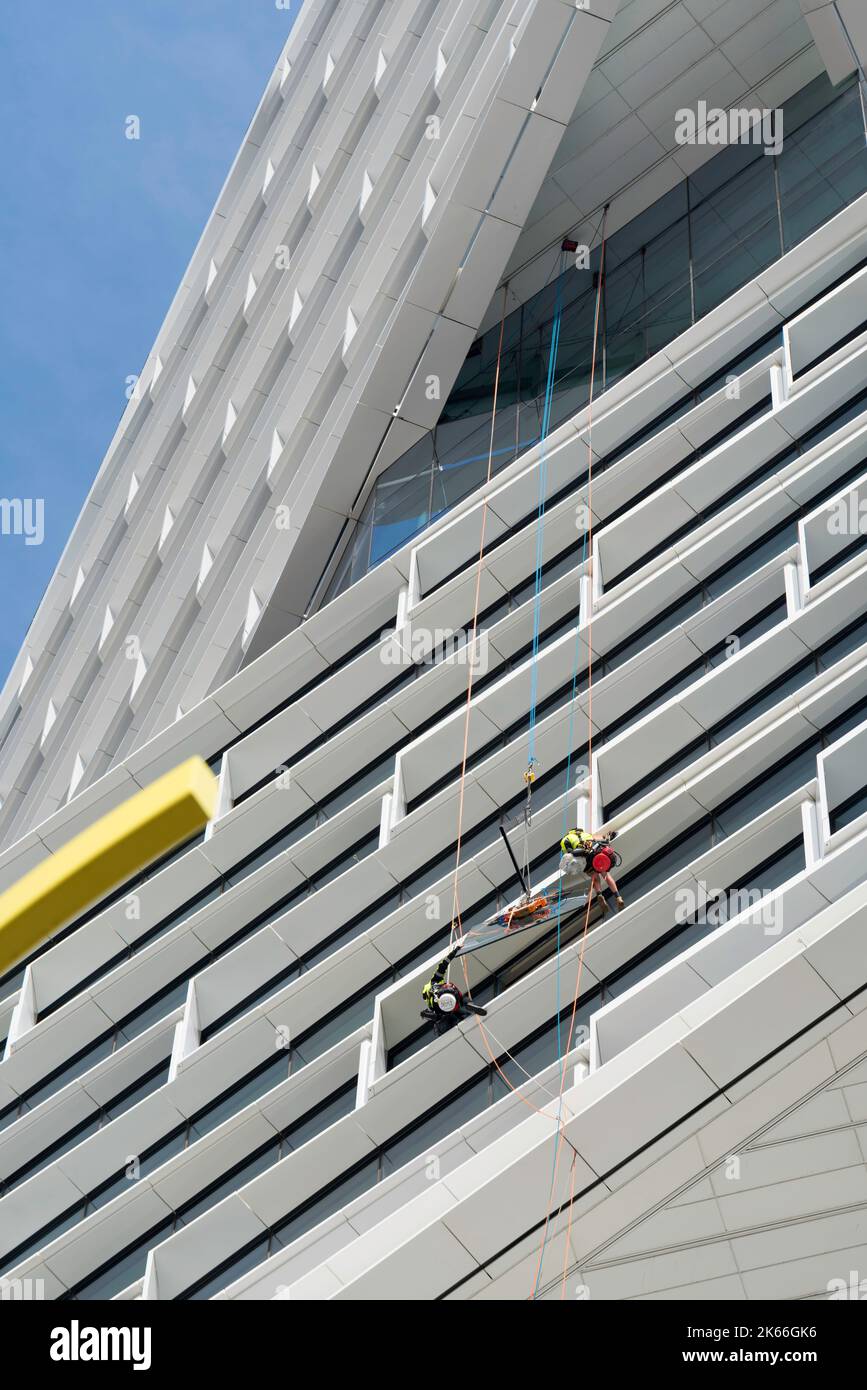 Rope access workers installing a large pane of glass high up on the new AMP Quay Quarter Tower located at 50 Bridge Street, Sydney, Australia Stock Photo