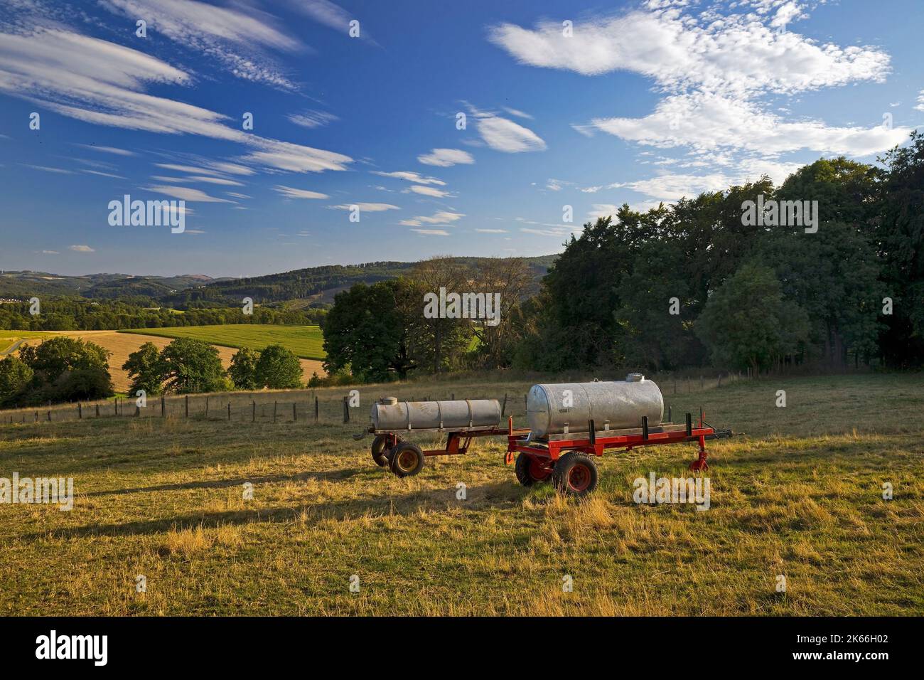 cattle troughs on a pasture near Eisborn, Germany, North Rhine-Westphalia, Sauerland, Balve Stock Photo